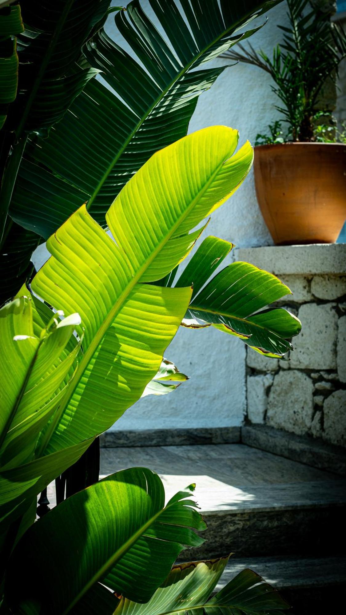 Pom Alacati Boutique Otel Çeşme Luaran gambar